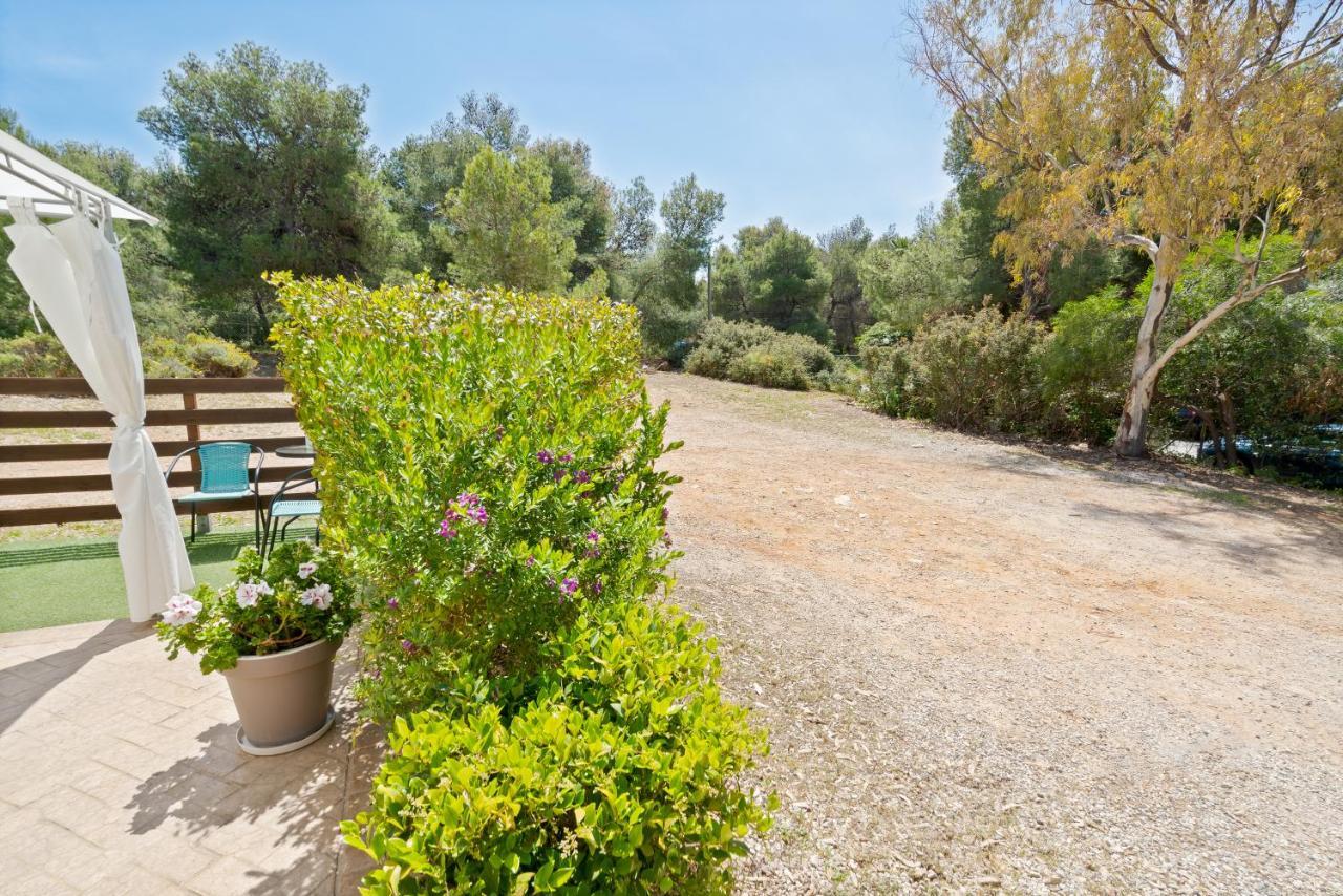 Chania Elite Homes Ii-Apartment Near Venizelos Tombs Monument Eksteriør billede